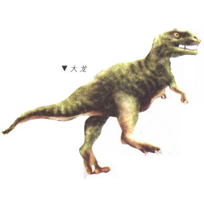 大龙