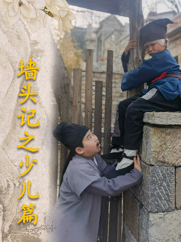 墙头记之少儿篇海报