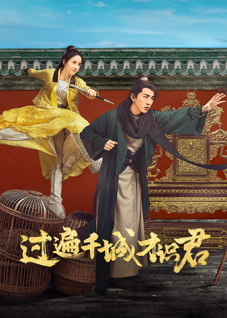 过遍千城才识君海报