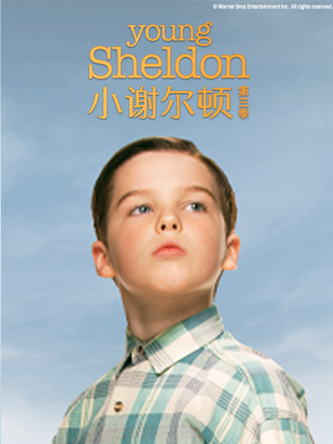 小谢尔顿第三季海报