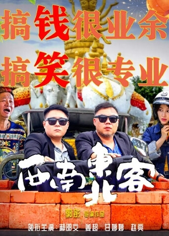 西南东北客海报