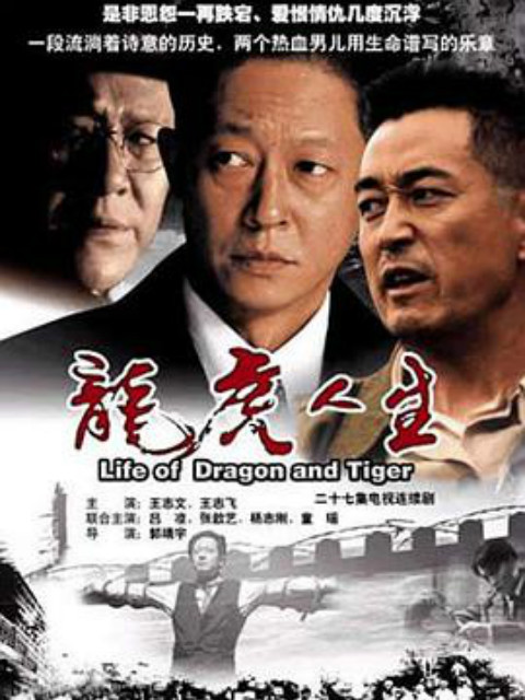 龙虎人生海报