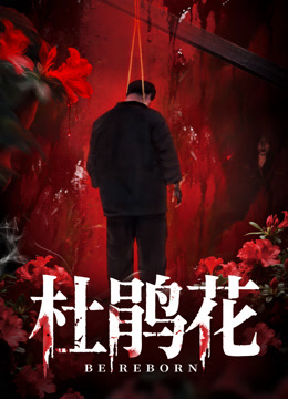 杜鹃花海报