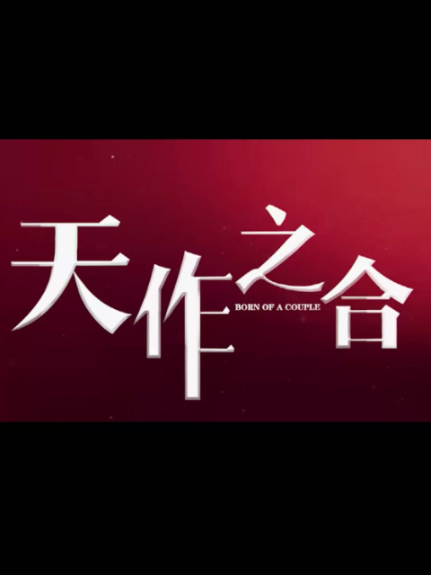 天作之合海报
