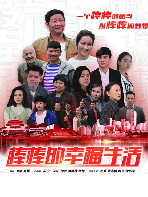 棒棒的幸福生活海报