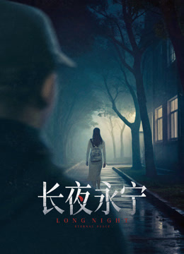 长夜永宁海报