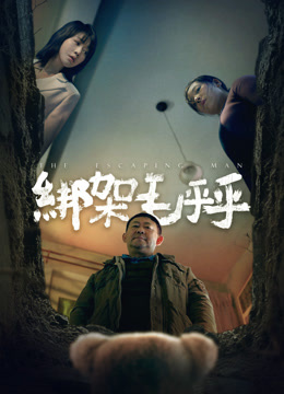 绑架毛乎乎海报