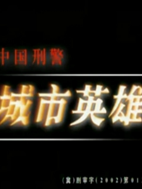 中国刑警之城市英雄海报