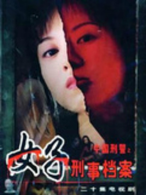 女子刑事档案海报
