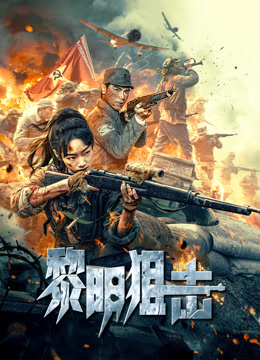 黎明狙击海报