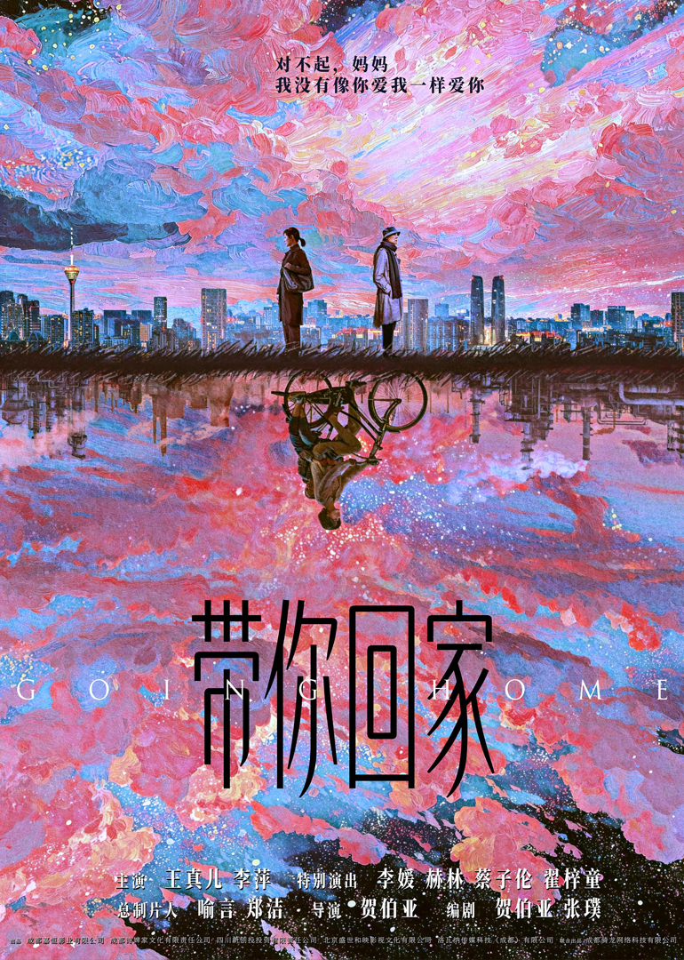 带你回家海报