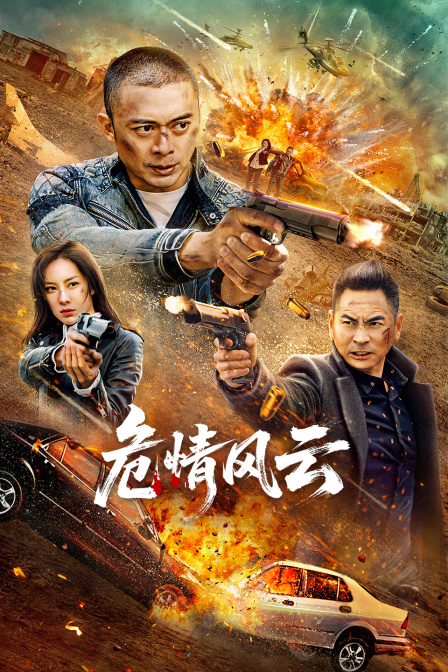 危情风云海报