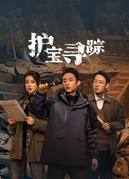 护宝寻踪海报