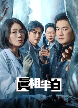 真相半白海报