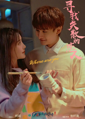 寻找消失的恋人海报