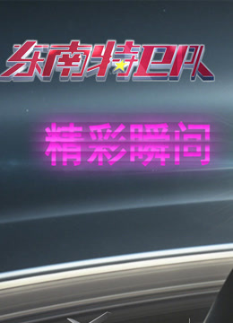 东南特卫队精彩瞬间海报