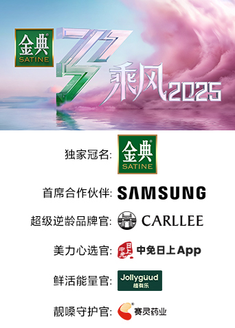 乘风2025海报