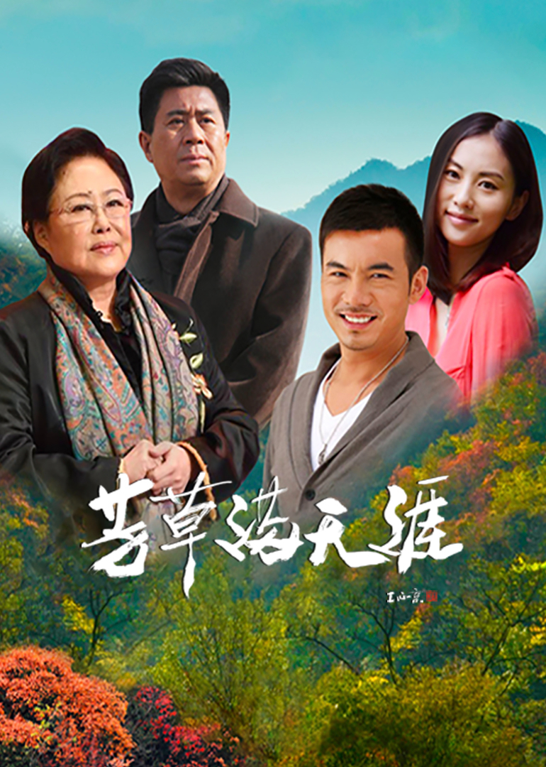 芳草满天涯海报