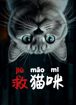 救猫咪海报