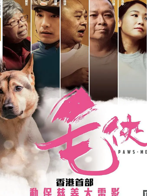 毛侠海报