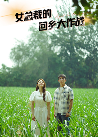 女总裁的回乡大作战海报