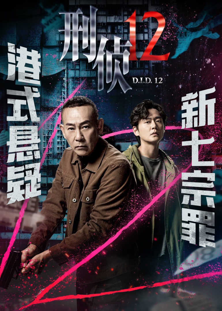 刑侦12海报