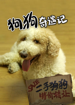 狗狗奇遇记海报