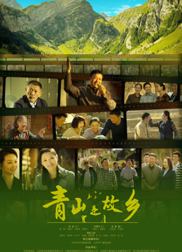 青山是故乡海报