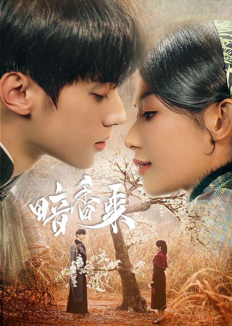 暗香来海报