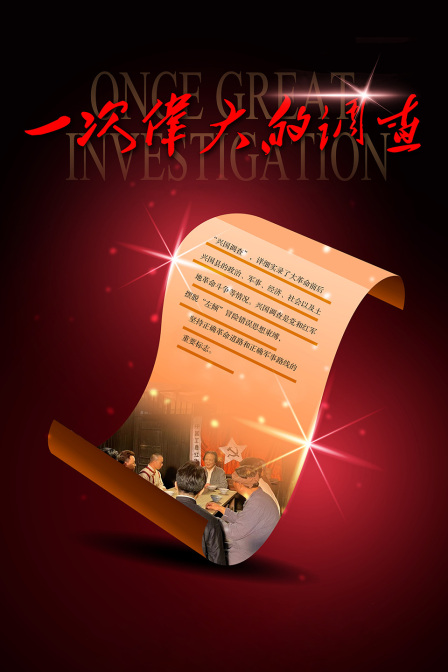 一次伟大的调查海报