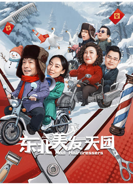 东北美发天团海报