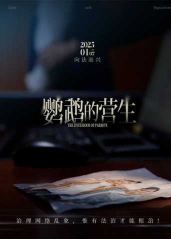 鹦鹉的营生海报