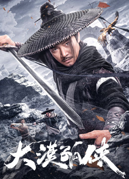 大漠孤侠海报