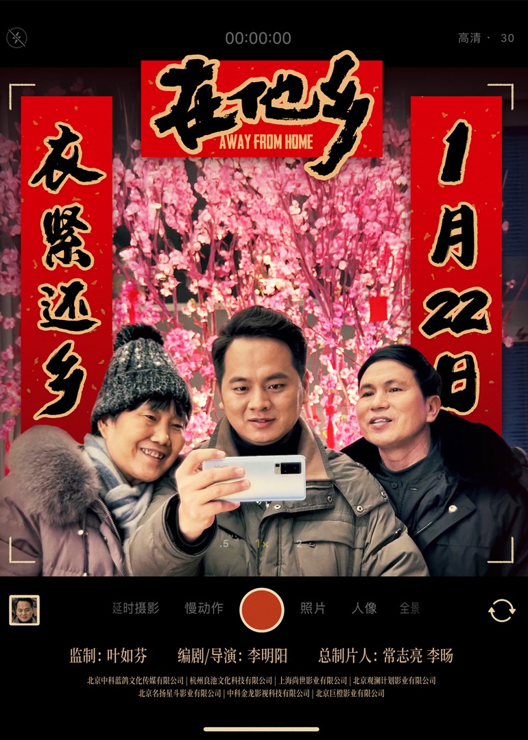 在他乡海报