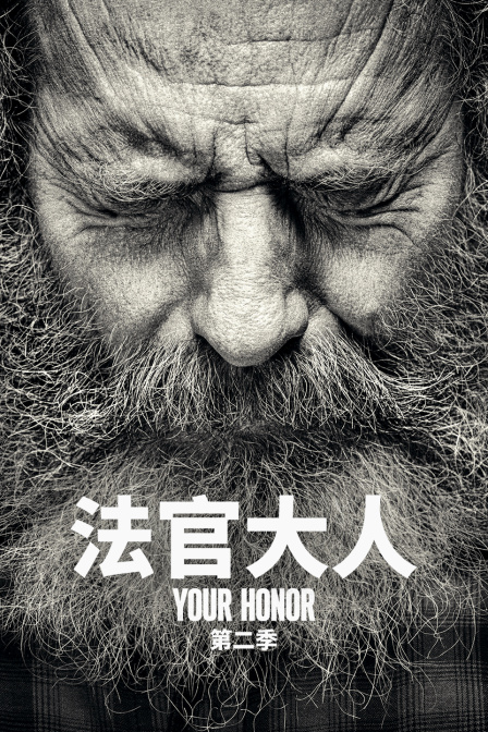 法官大人第二季海报