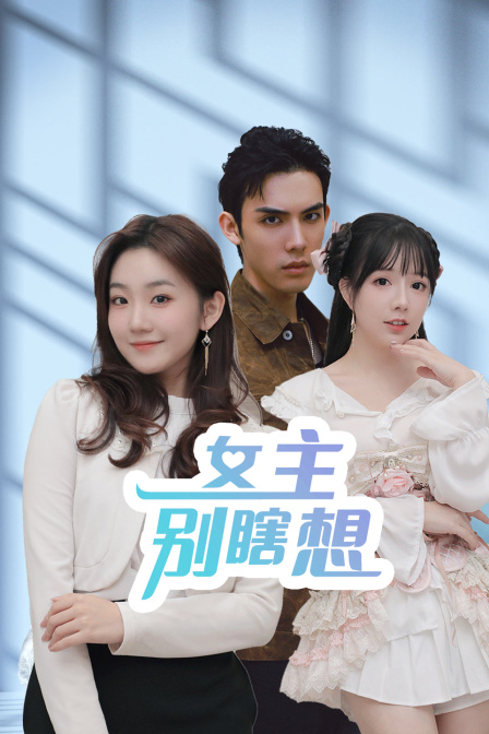 女主别瞎想海报