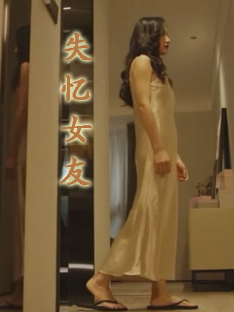 失忆女友海报