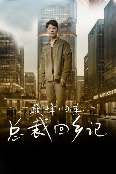 巅峰归来总裁回乡记海报
