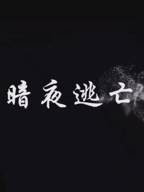 暗夜逃亡海报