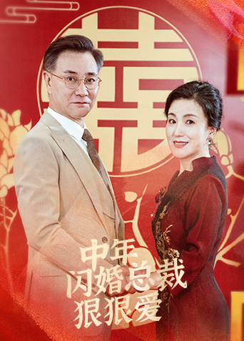 中年闪婚总裁狠狠爱海报