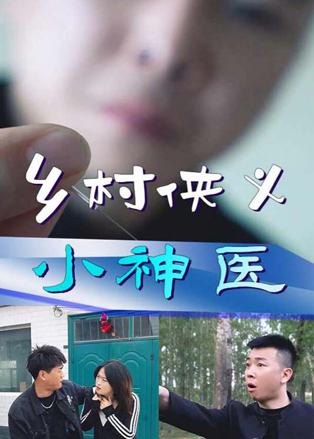 乡村侠义小神医海报