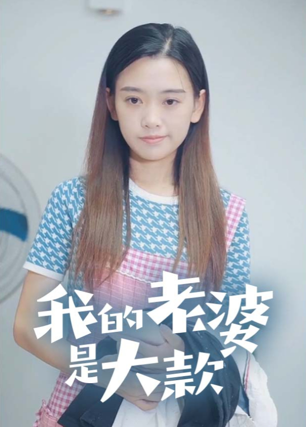 我的老婆是大款海报