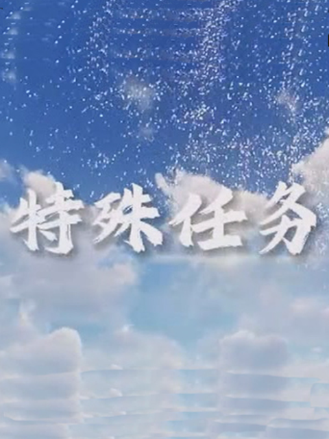 特殊任务海报