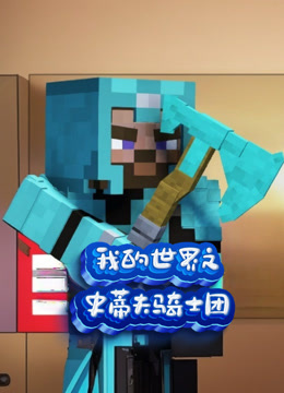 我的世界之史蒂夫骑士团海报