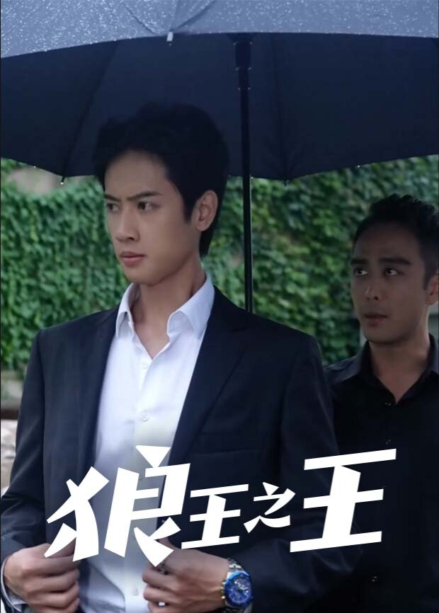 狼王之王海报