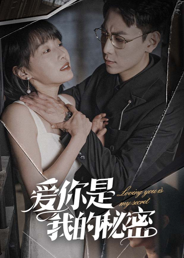 爱你是我的秘密海报
