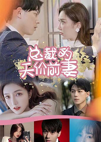 总裁的天价前妻海报