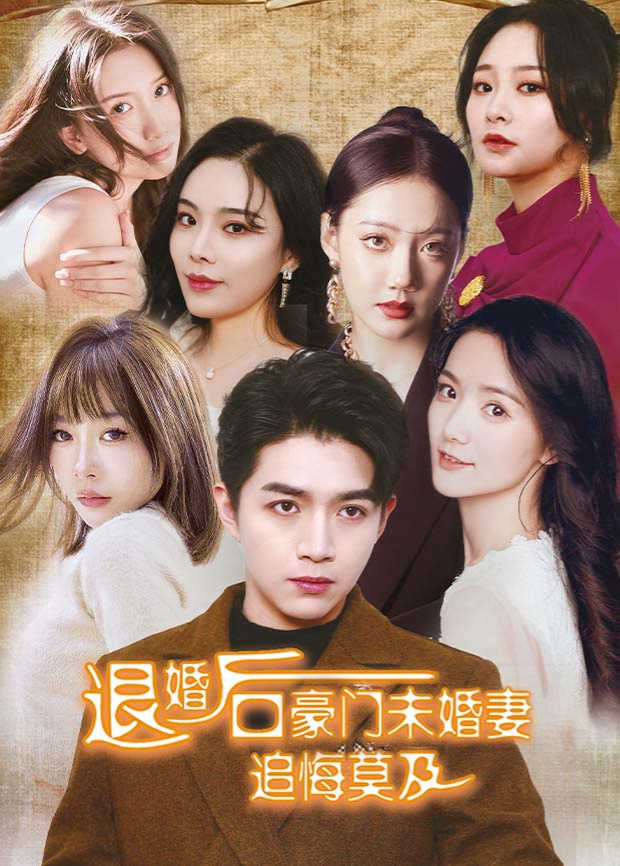 退婚后六个未婚妻追悔莫及海报
