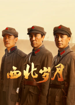 西北岁月海报