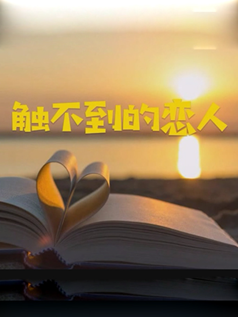 触不到的恋人海报